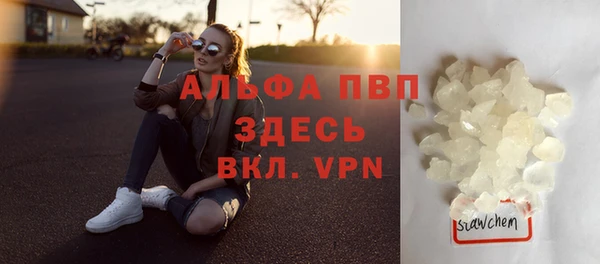 спиды Алзамай