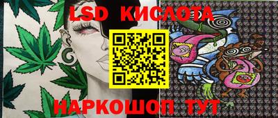 прущие грибы Новодвинск