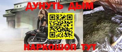 прущие грибы Новодвинск