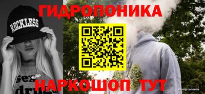 прущие грибы Новодвинск