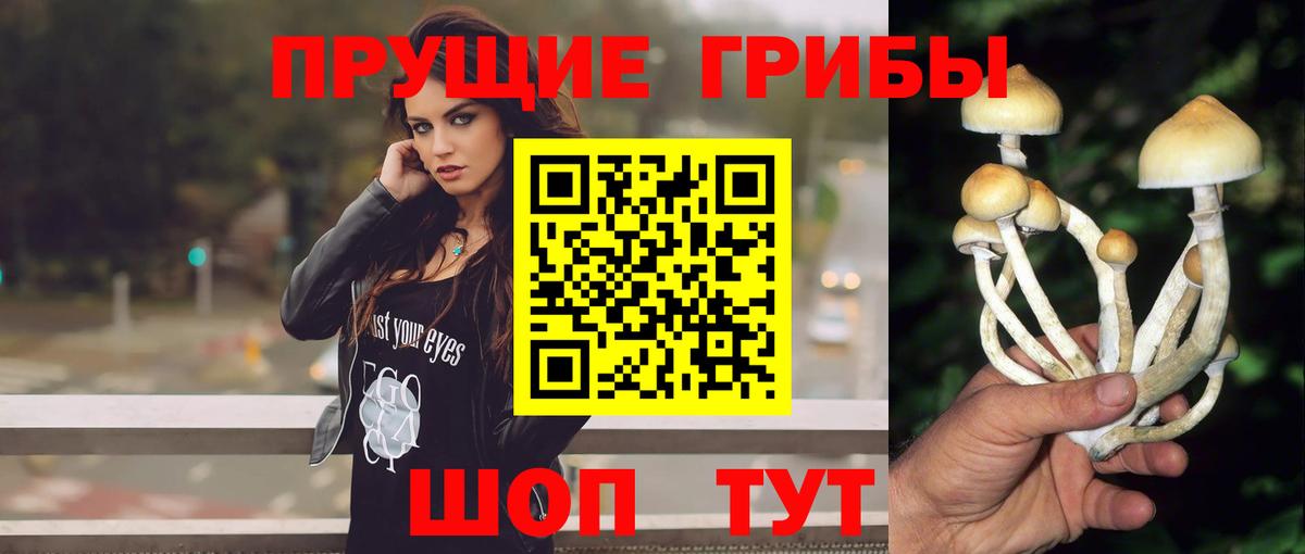 Псилоцибиновые грибы Psilocybine cubensis  Вход с VPN  Энгельс 